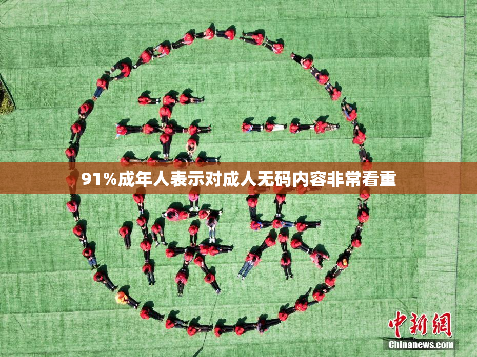 91%成年人表示对成人无码内容非常看重