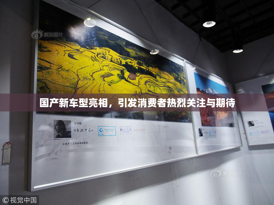 国产新车型亮相，引发消费者热烈关注与期待