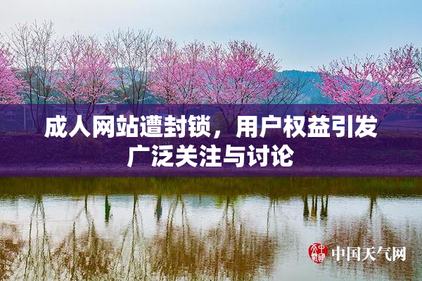 成人网站遭封锁，用户权益引发广泛关注与讨论