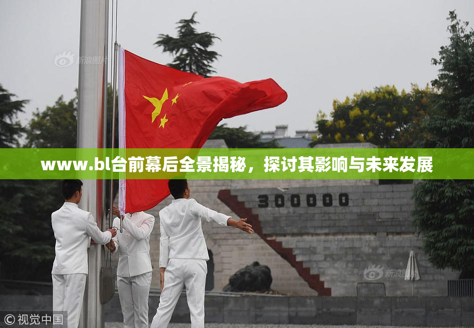 www.bl台前幕后全景揭秘，探讨其影响与未来发展