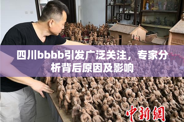 四川bbbb引发广泛关注，专家分析背后原因及影响