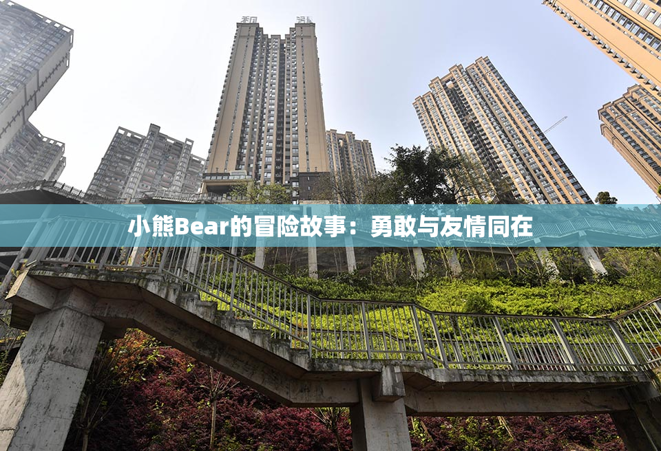 小熊Bear的冒险故事：勇敢与友情同在