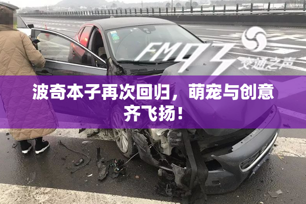 波奇本子再次回归，萌宠与创意齐飞扬！