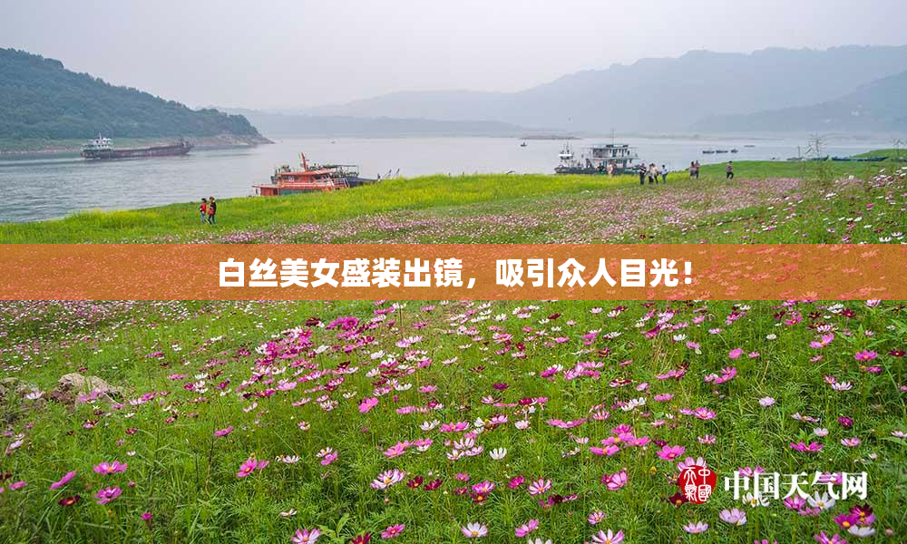白丝美女盛装出镜，吸引众人目光！