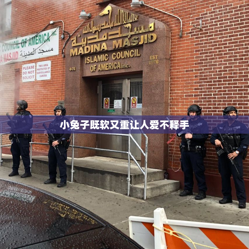 小兔子既软又重让人爱不释手