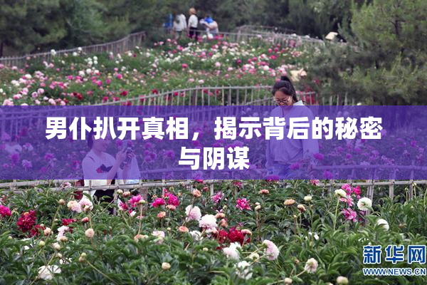 男仆扒开真相，揭示背后的秘密与阴谋
