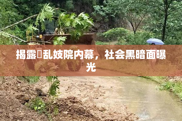 揭露婬乱妓院内幕，社会黑暗面曝光
