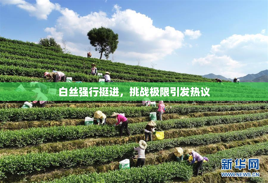 白丝强行挺进，挑战极限引发热议