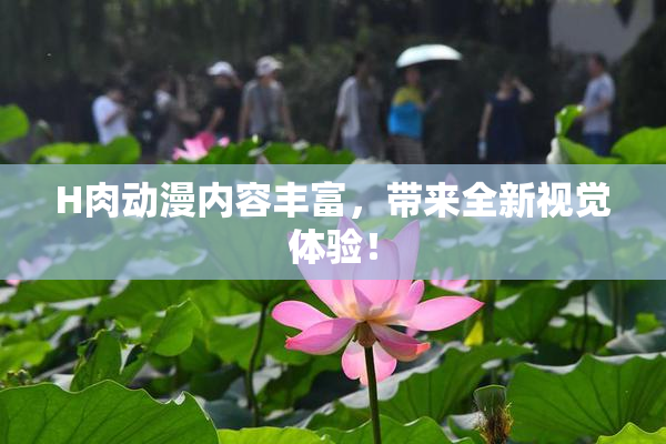 H肉动漫内容丰富，带来全新视觉体验！