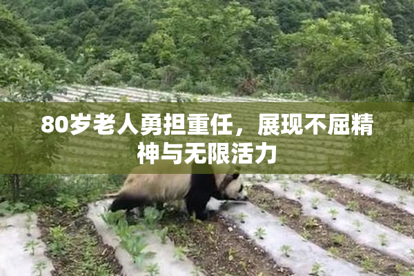 80岁老人勇担重任，展现不屈精神与无限活力