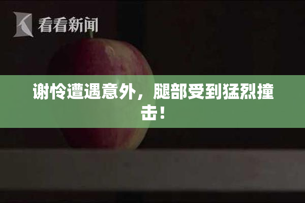 谢怜遭遇意外，腿部受到猛烈撞击！