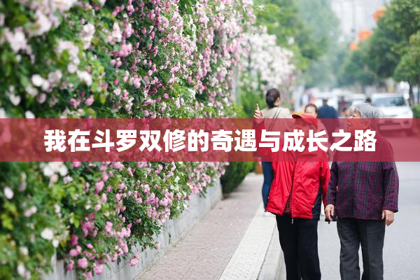 我在斗罗双修的奇遇与成长之路