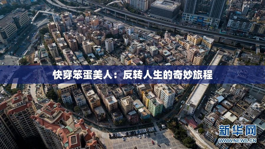 快穿笨蛋美人：反转人生的奇妙旅程