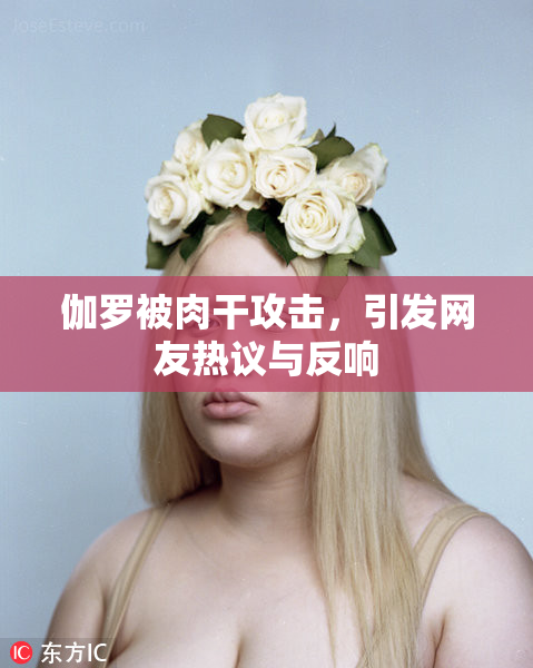 伽罗被肉干攻击，引发网友热议与反响