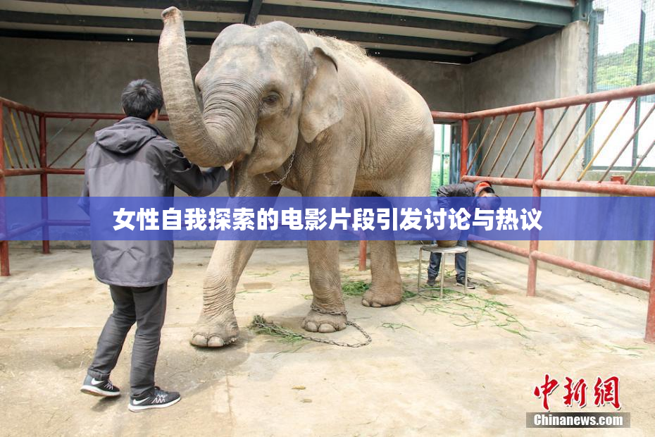 女性自我探索的电影片段引发讨论与热议
