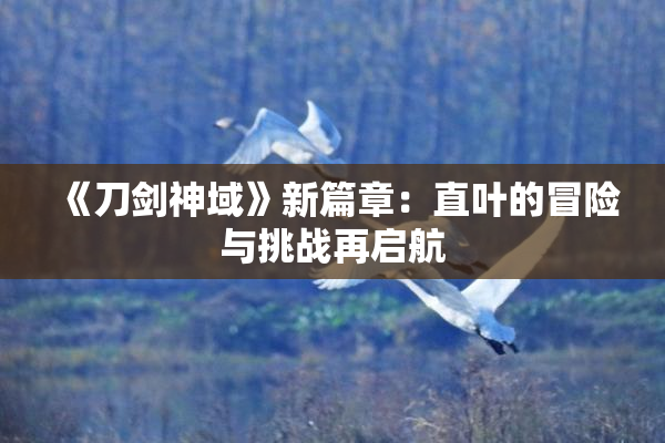 《刀剑神域》新篇章：直叶的冒险与挑战再启航