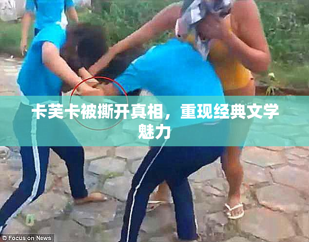 卡芙卡被撕开真相，重现经典文学魅力