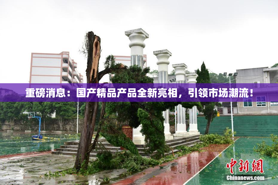 重磅消息：国产精品产品全新亮相，引领市场潮流！