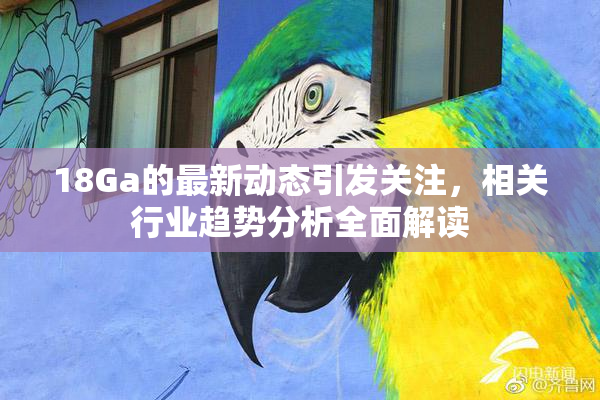 18Ga的最新动态引发关注，相关行业趋势分析全面解读
