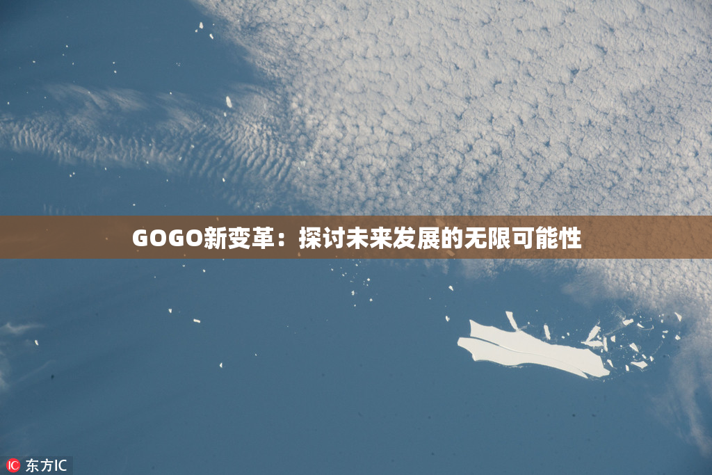 GOGO新变革：探讨未来发展的无限可能性