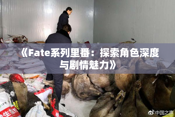 《Fate系列里番：探索角色深度与剧情魅力》