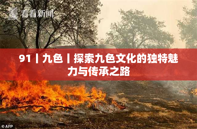 91丨九色丨探索九色文化的独特魅力与传承之路