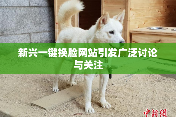 新兴一键换脸网站引发广泛讨论与关注