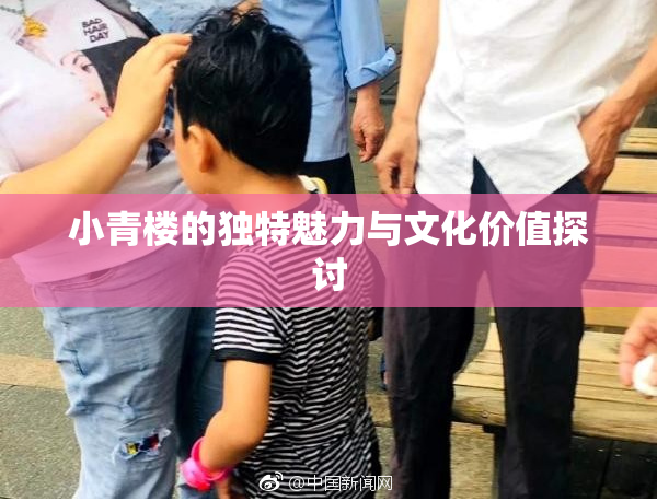 小青楼的独特魅力与文化价值探讨