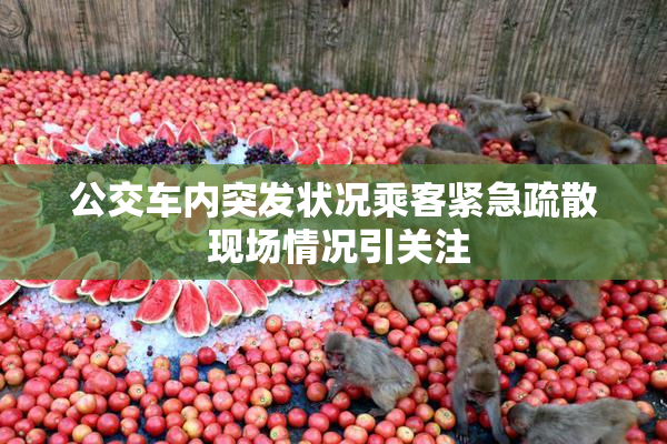 公交车内突发状况乘客紧急疏散 现场情况引关注