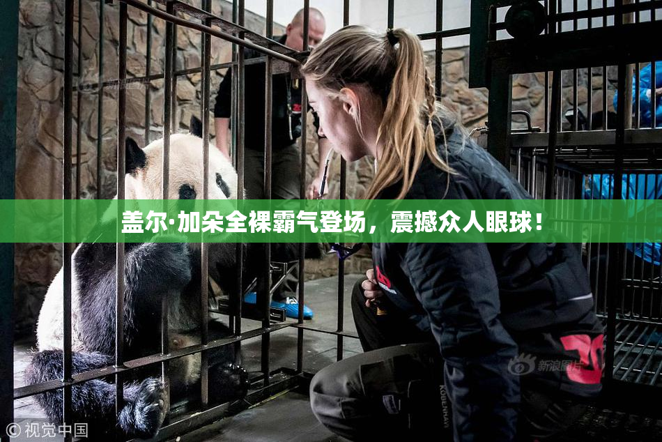 盖尔·加朵全裸霸气登场，震撼众人眼球！