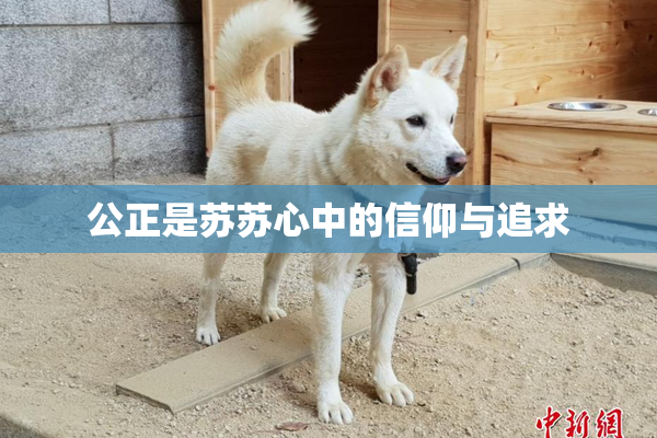 公正是苏苏心中的信仰与追求