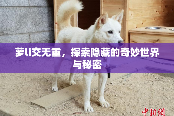 萝li交无重，探索隐藏的奇妙世界与秘密