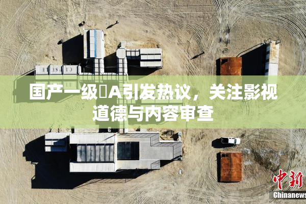 国产一级婬A引发热议，关注影视道德与内容审查