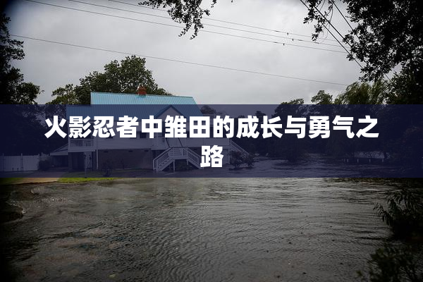 火影忍者中雏田的成长与勇气之路