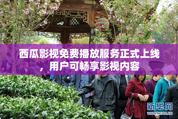 西瓜影视免费播放服务正式上线，用户可畅享影视内容