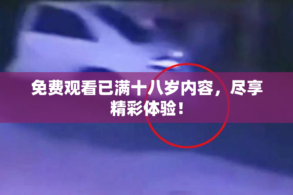 免费观看已满十八岁内容，尽享精彩体验！