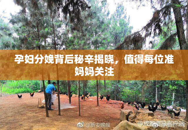 孕妇分娩背后秘辛揭晓，值得每位准妈妈关注