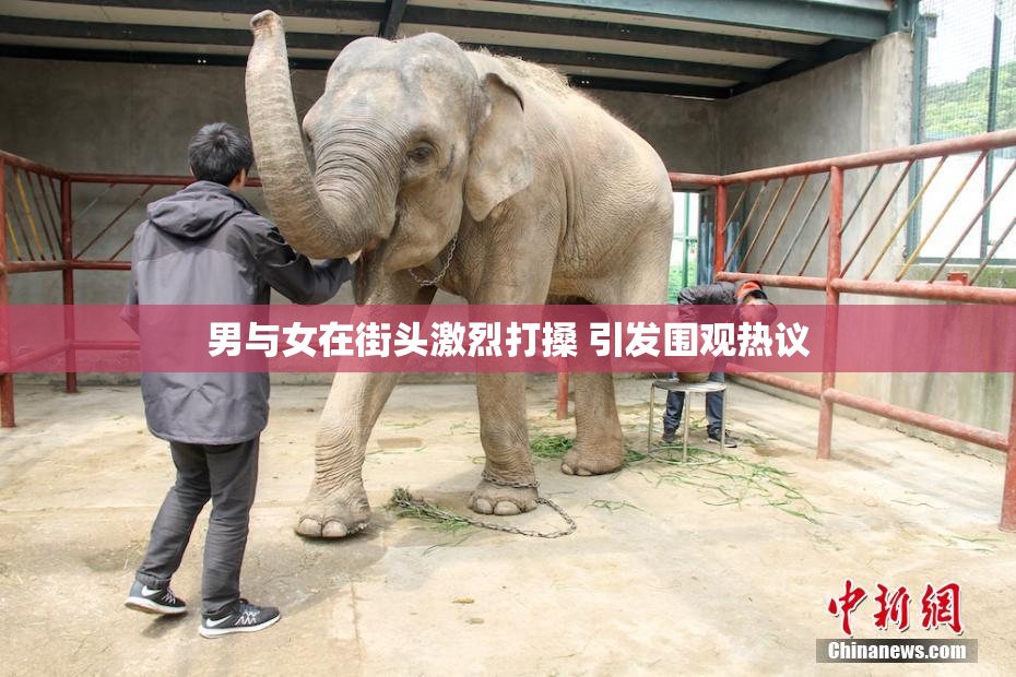 男与女在街头激烈打搡 引发围观热议