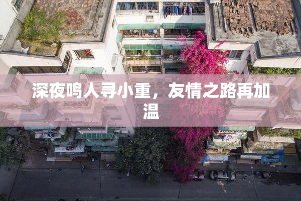 深夜鸣人寻小重，友情之路再加温