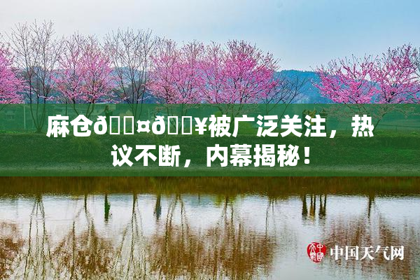 麻仓🖤🔥被广泛关注，热议不断，内幕揭秘！