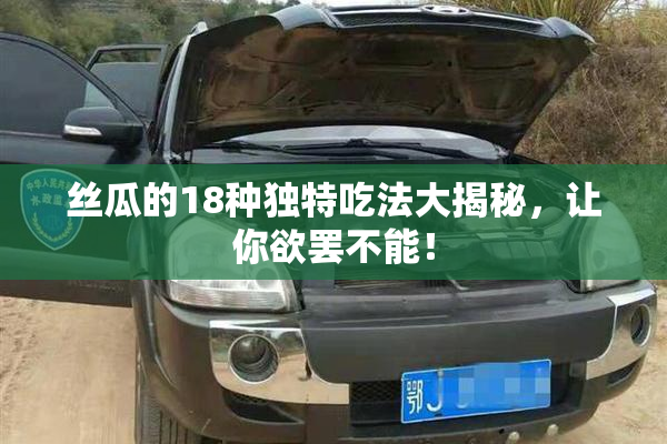 丝瓜的18种独特吃法大揭秘，让你欲罢不能！