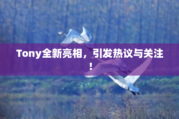 Tony全新亮相，引发热议与关注！