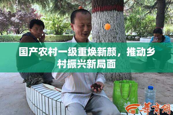 国产农村一级重焕新颜，推动乡村振兴新局面