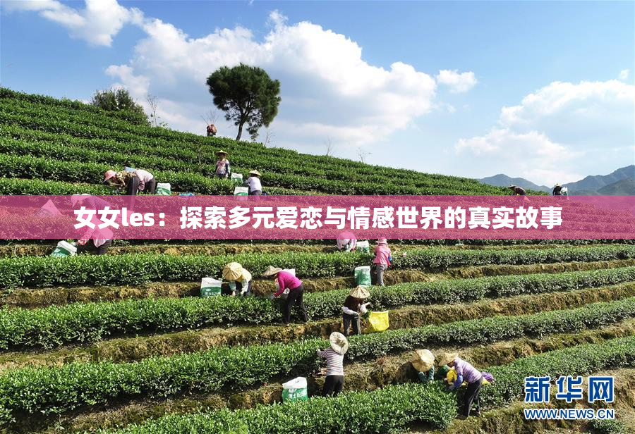 女女les：探索多元爱恋与情感世界的真实故事