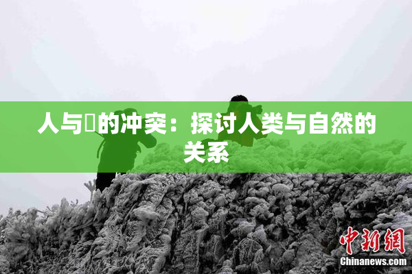 人与嘼的冲突：探讨人类与自然的关系