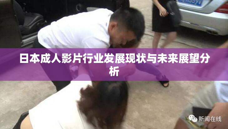 日本成人影片行业发展现状与未来展望分析