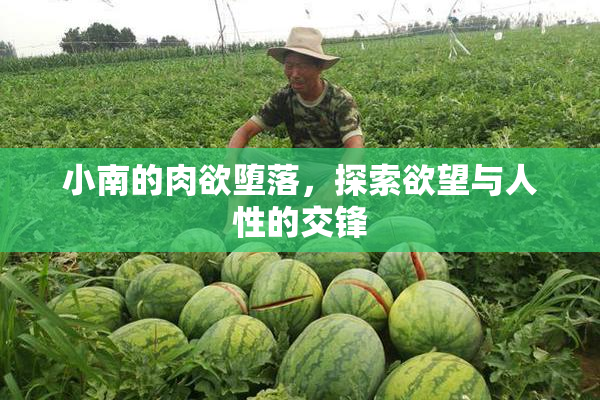 小南的肉欲堕落，探索欲望与人性的交锋