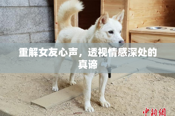 重解女友心声，透视情感深处的真谛