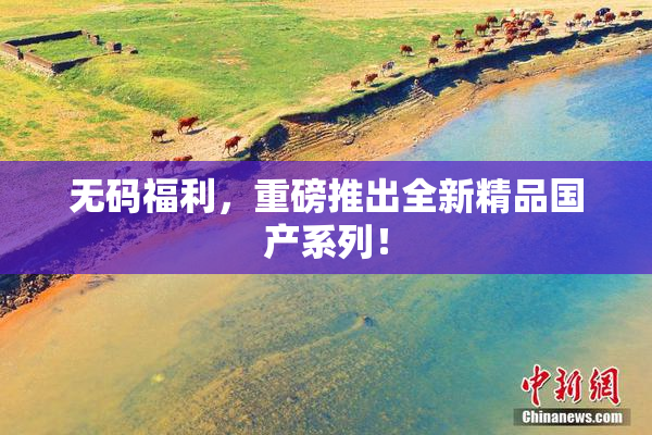 无码福利，重磅推出全新精品国产系列！