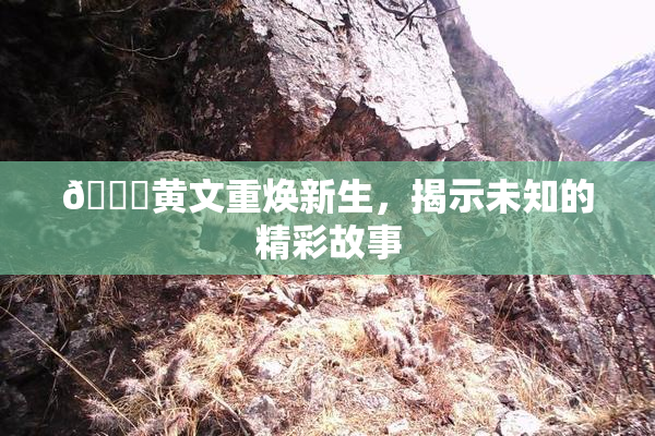 🔞黄文重焕新生，揭示未知的精彩故事